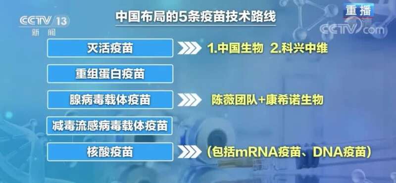 中国新冠一共死去的人数〃中国新冠一共死去的人数是多少-第3张图片