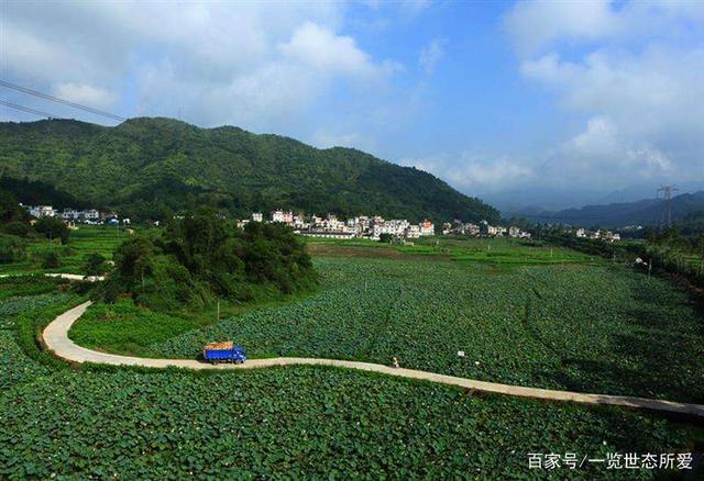 「广西新增本土无症状129例」〃广西新增本土确诊1例-第1张图片