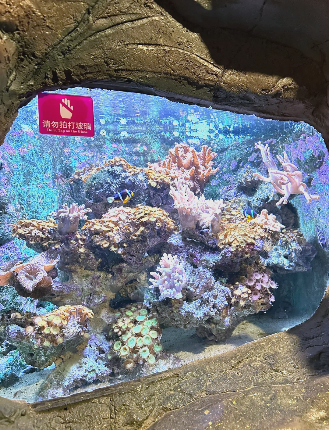推荐一款“海底乐园有挂吗确实有挂”作弊(透视)透视辅助-第2张图片