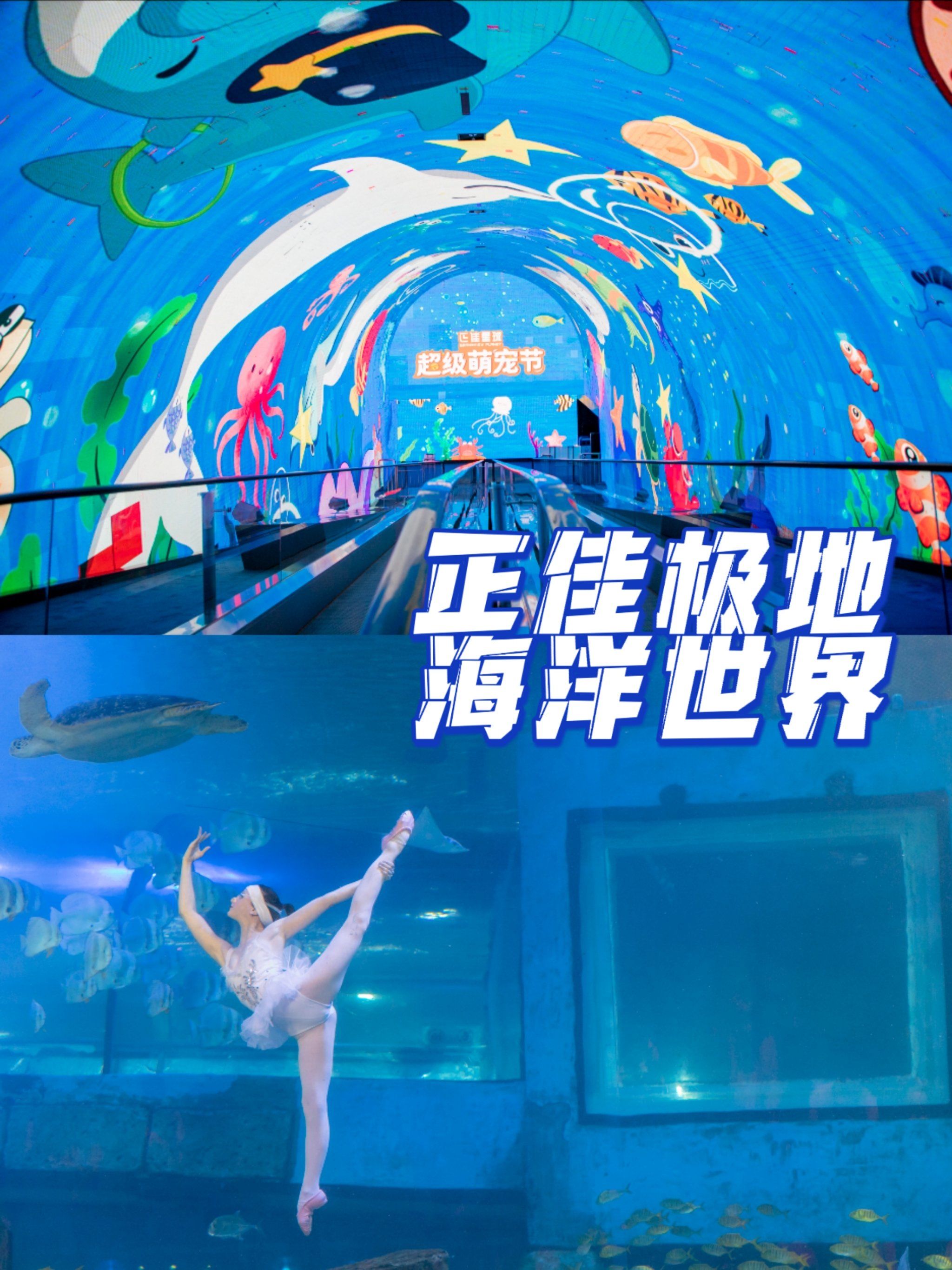 推荐一款“海底乐园有挂吗确实有挂”作弊(透视)透视辅助-第1张图片