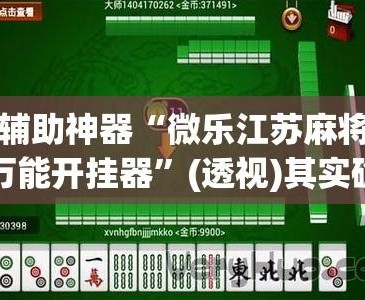 玩家必看教程“微乐河南麻将开挂神器”(透视挂)辅助透视教程