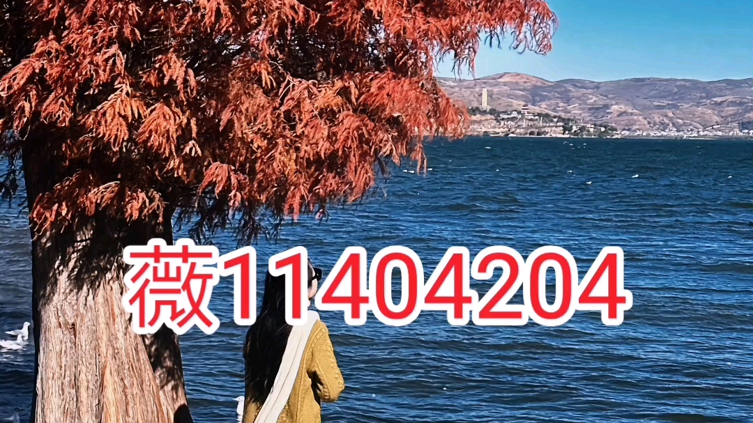 教程开挂辅助“雀神麻将怎么提高胜率	”揭秘透视辅助万能挂-第1张图片