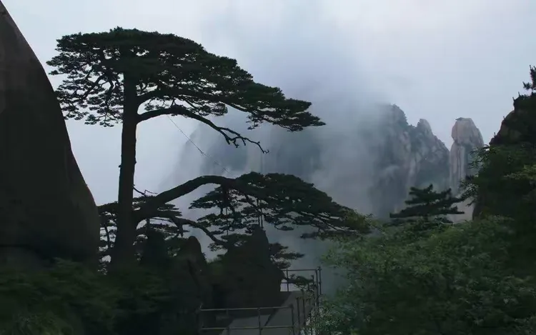 一键必胜“黄山麻将有挂吗”开挂辅助脚本+详细开挂安装教程-第2张图片