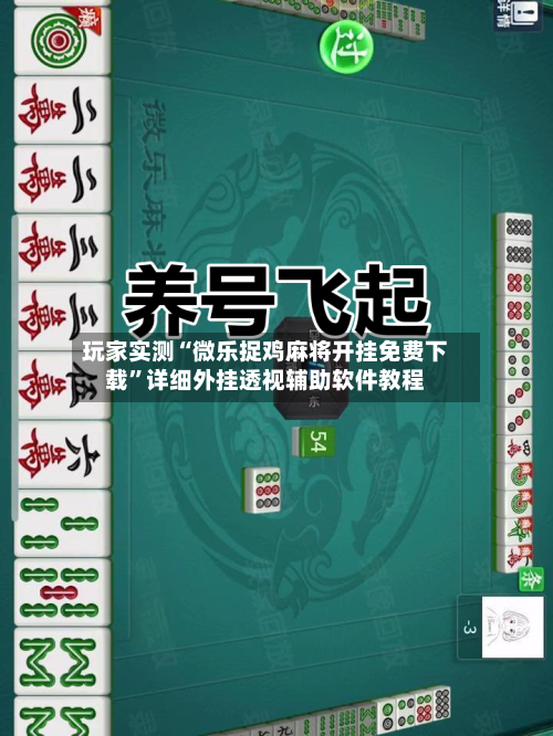 分享实测“陕西微乐老麻子万能开挂器”原来有神器下载！-第2张图片
