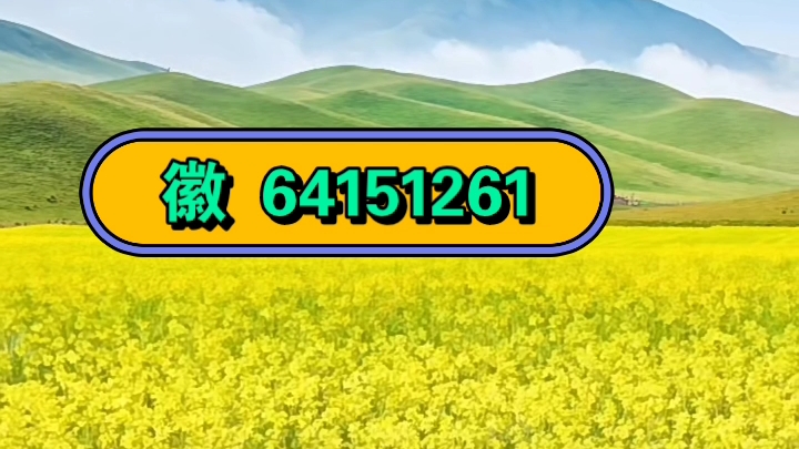 实测教程“wepoker辅助透视作弊”科技辅助神器手机版教程-第3张图片