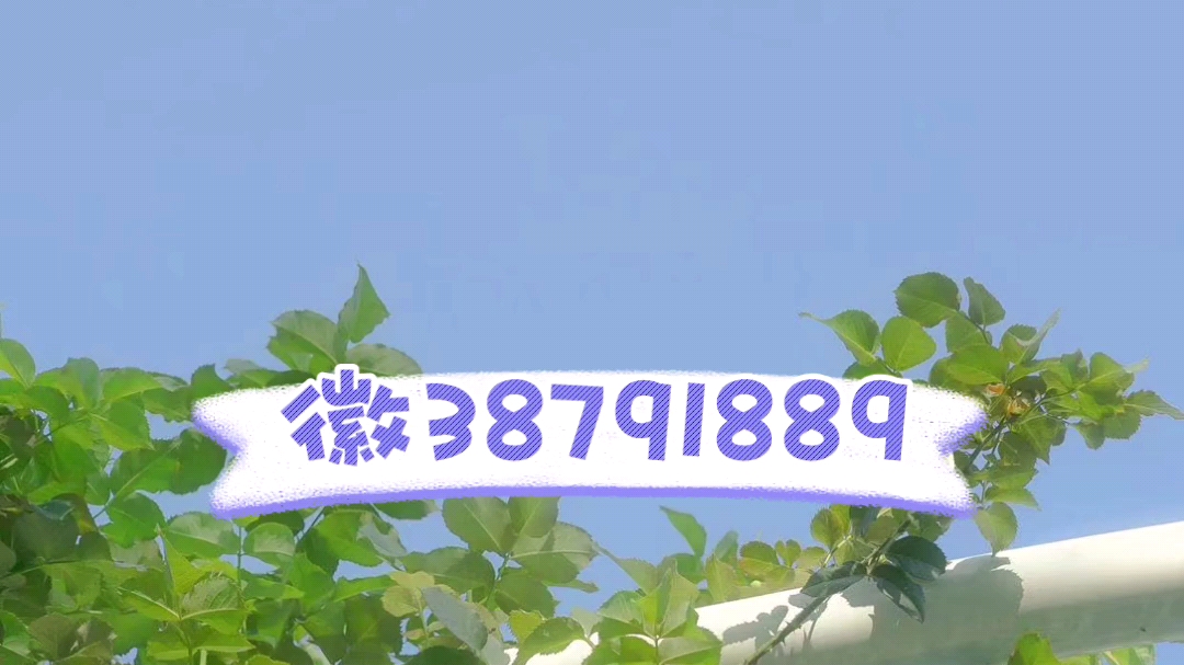 实测!“桂林老k字牌透视怎么弄”作弊(透视) 开挂辅助教程