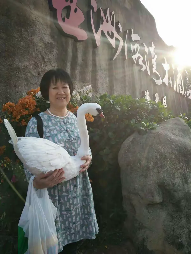 教大家使用“金花挂的软件”(原来确实是有插件)-第1张图片