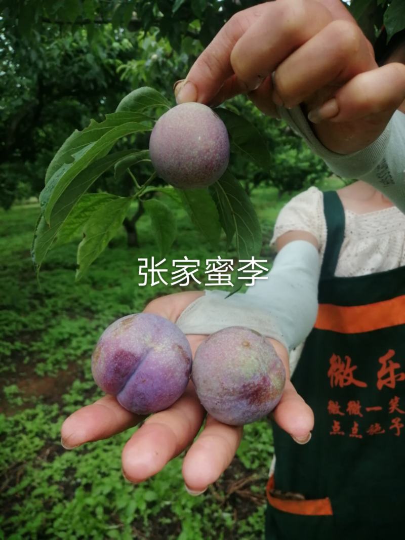 真实辅助“微乐广西麻将开挂神器代发”(原来确实是有插件)-第2张图片