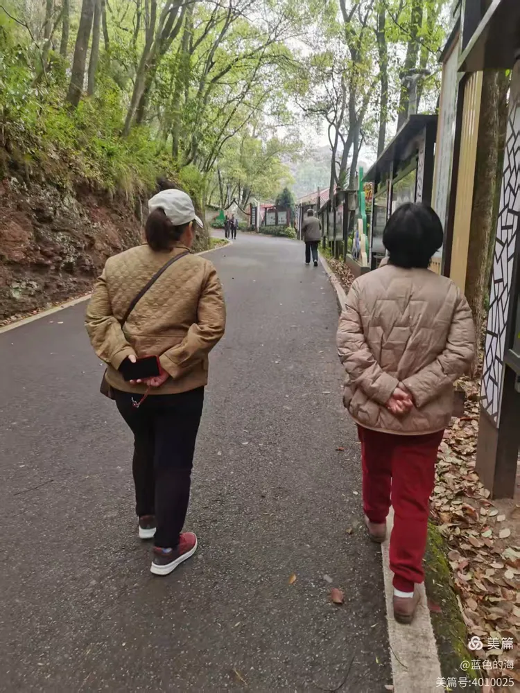 实测!“青龙金花挂有吗	”分享装挂技巧步骤-第1张图片