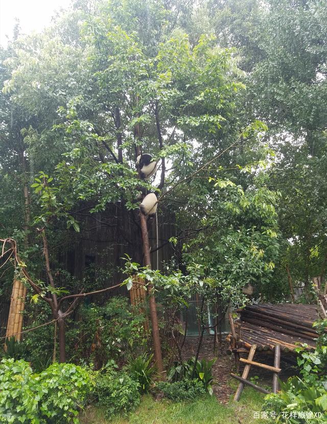 分享实测辅助“蜀山四川麻将外卦神器下载安装免费(透视)”详细开挂玩法-第3张图片
