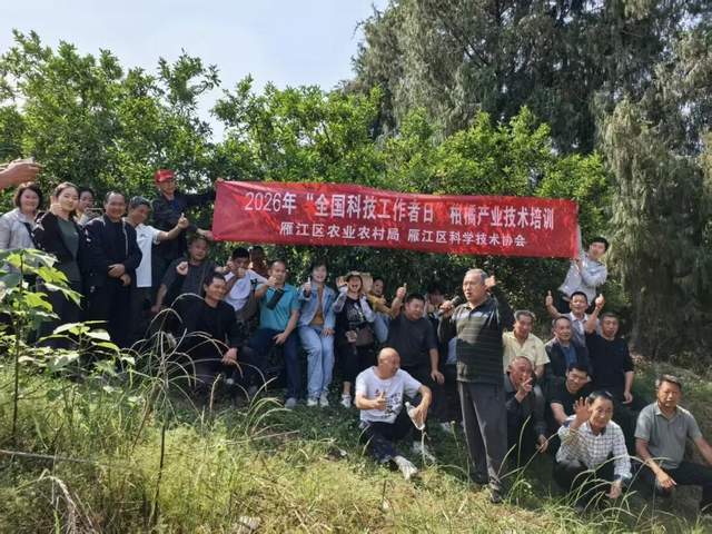 2026首发科技“微乐掼蛋有挂吗”详细开挂教程-第2张图片