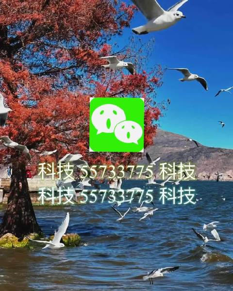 实测分享“捉鸡麻将开挂神器下载安装”(透视挂)辅助透视教程-第2张图片