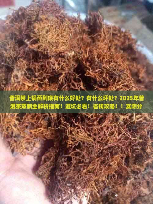 实测分析“镇雄关春天挂”详细分享装挂步骤教程-第1张图片