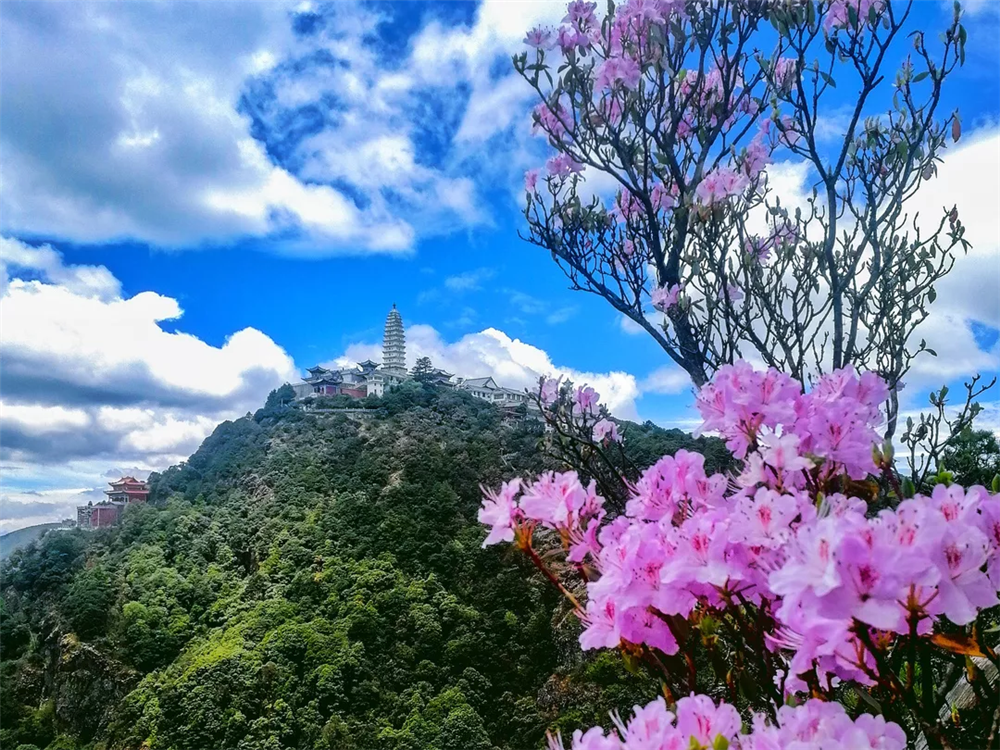 分享实测辅助“山水云南麻将开挂神器”开挂(透视)辅助神器-第2张图片