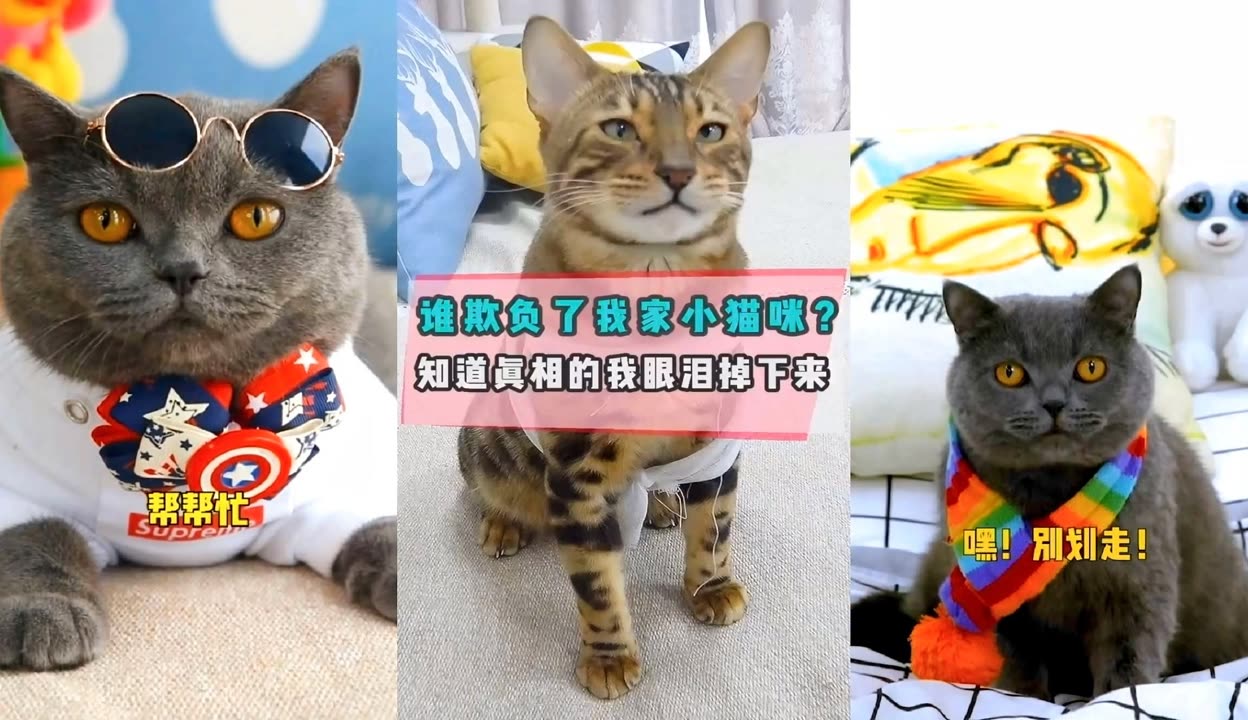 实测分享“随意玩大厅可以开挂吗	”(曝光透视必备猫腻)-第1张图片