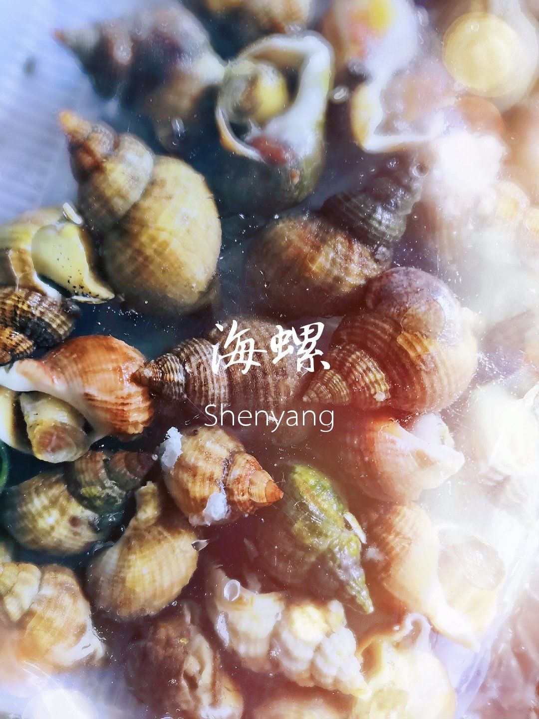 3分钟教程“海螺众娱拼三张的透视辅助”详细分享装挂步骤教程-第2张图片