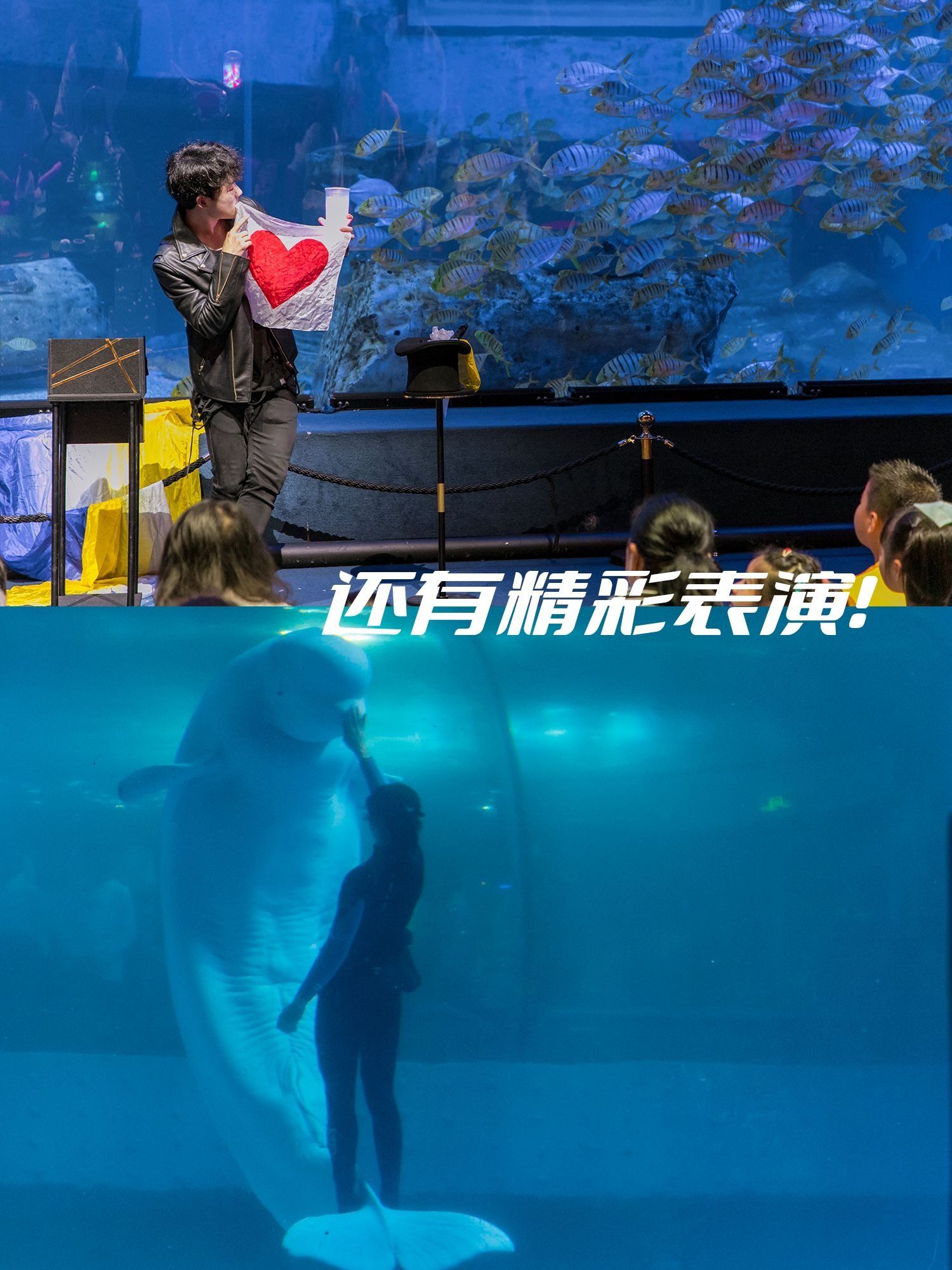 推荐一款“海底乐园有挂吗确实有挂	”作弊(透视)透视辅助-第2张图片