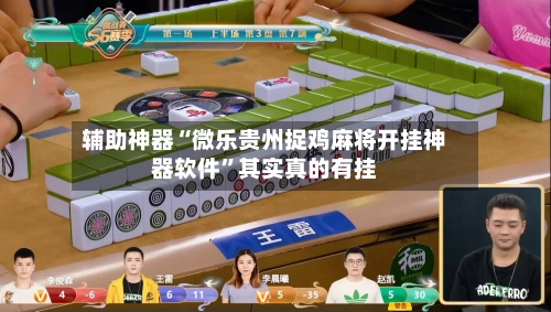 开挂辅助工具“微乐游戏辅助器免费版(辅助神器)开挂详细教程-第2张图片