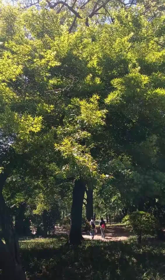 教程辅助!“智星德州菠萝辅助开挂透视脚本”科技辅助神器手机-第2张图片