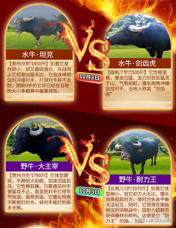 一键必胜“微信链接斗牛开挂神器”附开挂脚本详细步骤-第1张图片