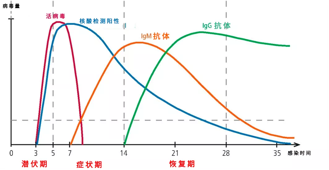 “疫情是什么时候开始的” 疫情是什么时候开始的哪一年？-第2张图片