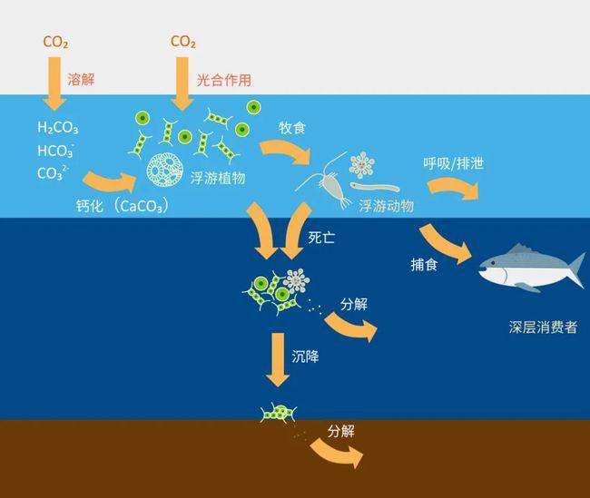 科普实测“微乐北京麻将的胜率提高方法	”助赢开挂器（安装教程）-第2张图片