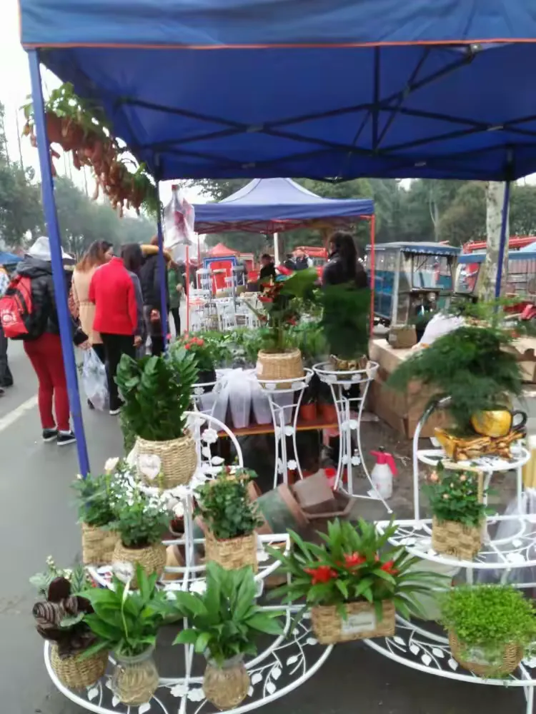 玩家必搜“凑一桌关春天怎么开挂”开挂辅助脚本+详细开挂安装教程-第2张图片