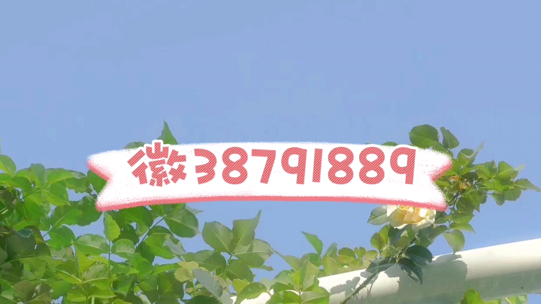 教大家使用“金花挂的软件”(原来确实是有插件)-第1张图片