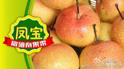 分享实测“微乐河南麻将万能挂	”详细透视教程-第2张图片