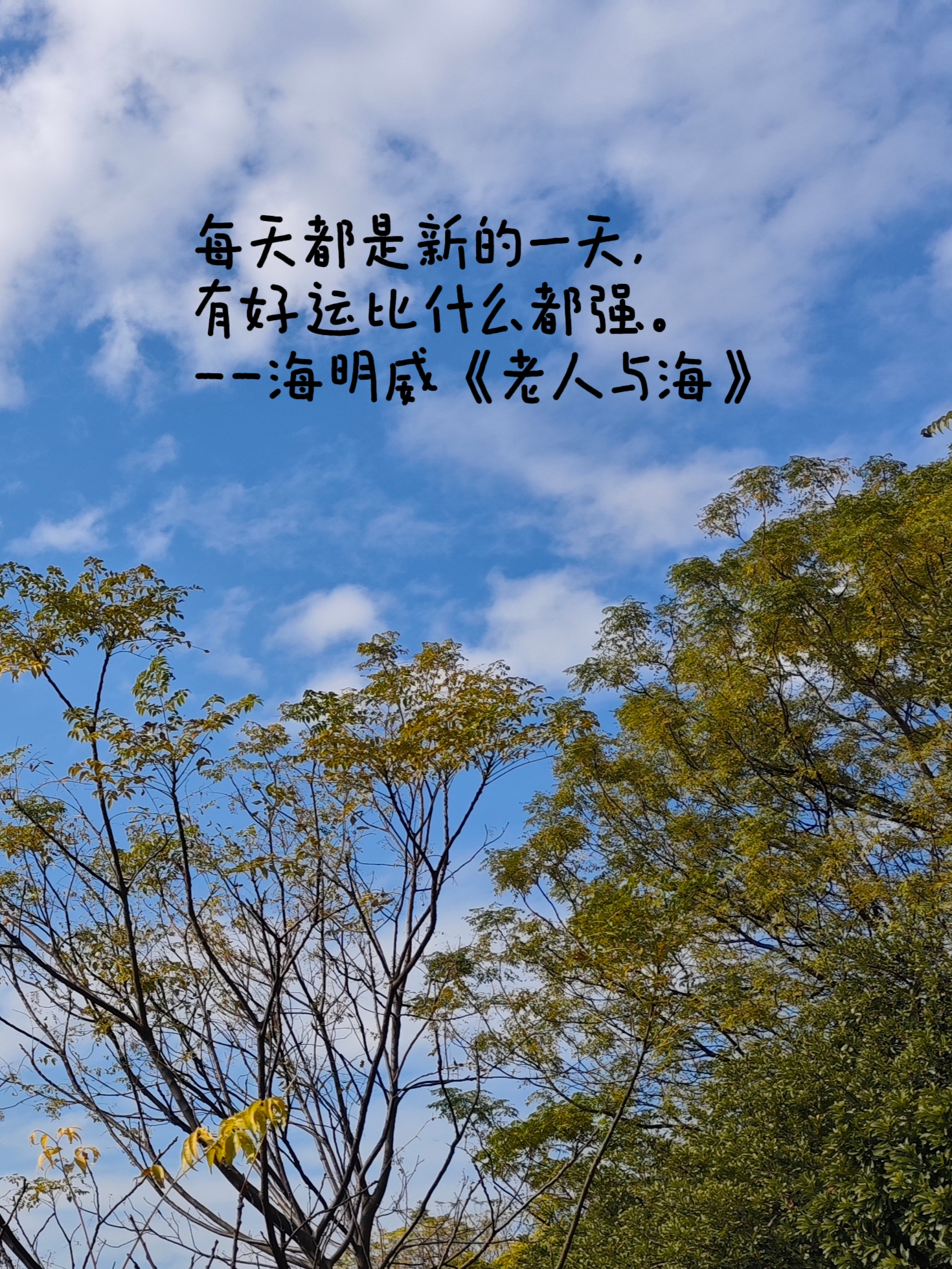 强力推荐“吉祥填大坑辅助器通用版	”开挂辅助详细步骤-第1张图片