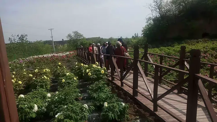 3分钟学会“家乡大贰有挂吗”附开挂脚本详细步-第1张图片