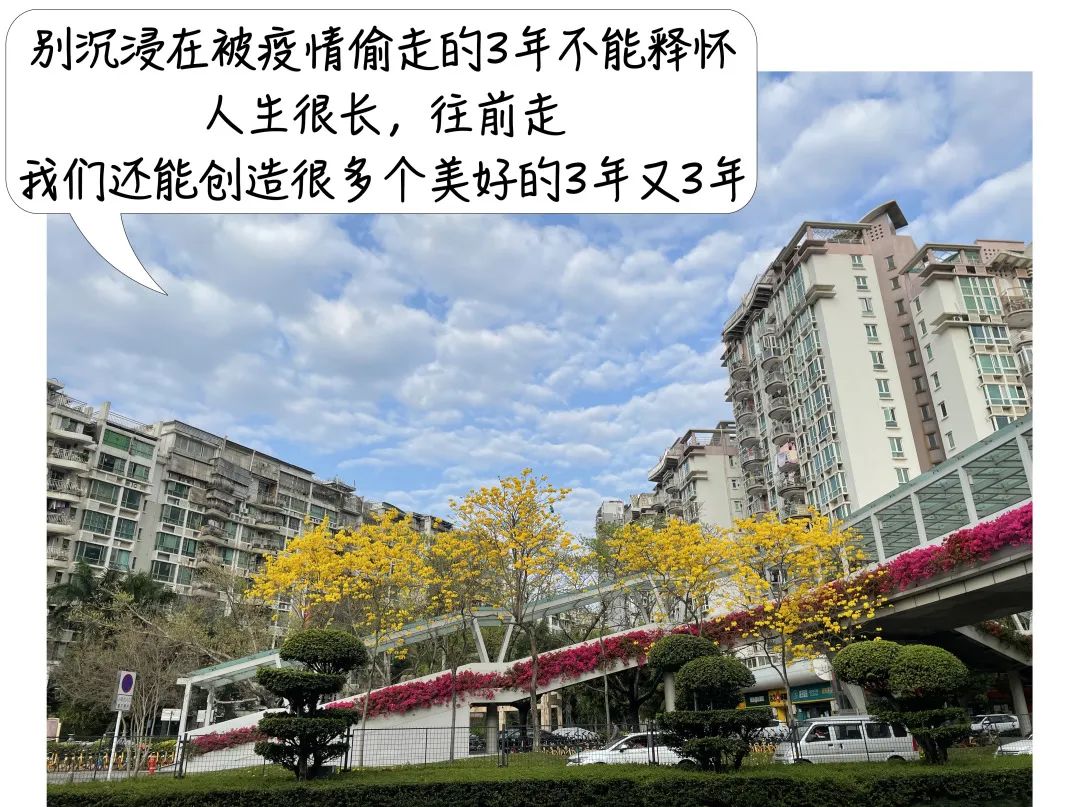 “深圳一地调为中风险	” 深圳中风险降为低风险？-第2张图片