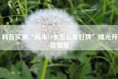 实测开挂辅助：“衢州都莱双扣辅助器是真是假	”附开挂脚本详细-第2张图片