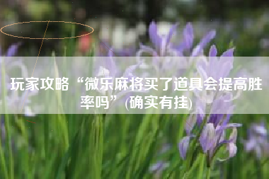 教程辅助“微乐麻将小程序万能开挂器”作弊(透视)透视辅助-第2张图片