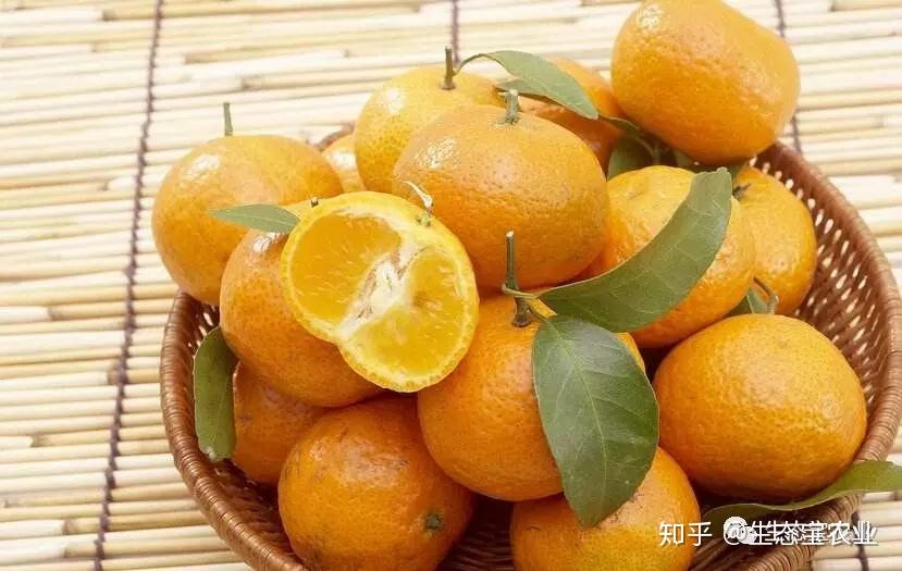 3分钟学会“家家乐牌吧可以开挂吗	”详细分享装挂步骤教程-第1张图片