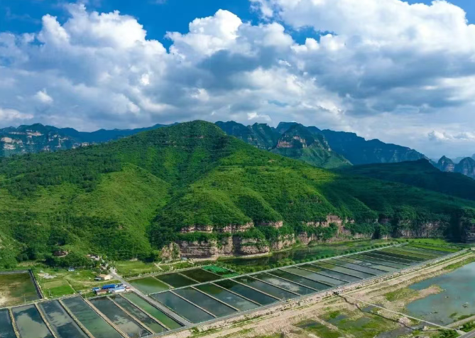 实测辅助“太行麻将开挂最佳方法”(作弊)辅助透视教程-第2张图片