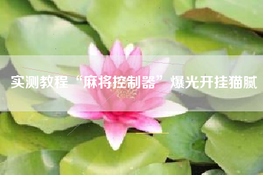 推荐一款“开心泉州麻将开挂器通用版”开挂通用版（必备神器）-第2张图片